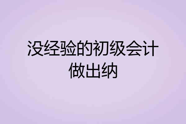 没经验的初级会计做出纳