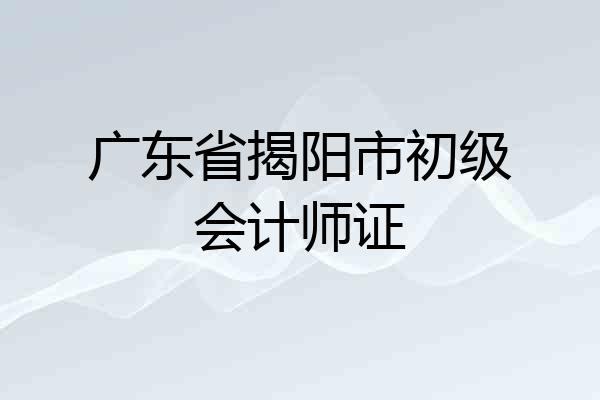 广东省揭阳市初级会计师证
