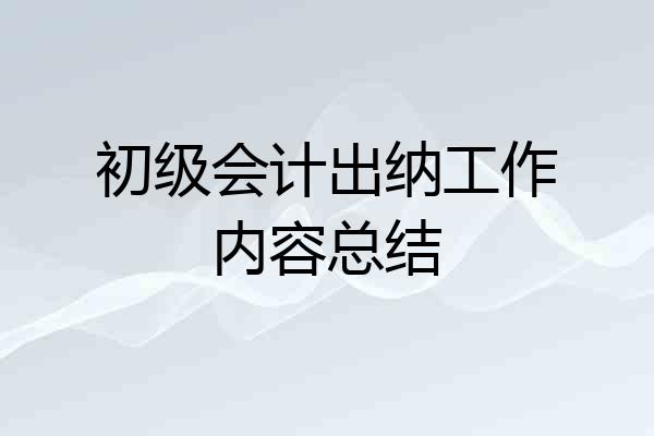 初级会计出纳工作内容总结