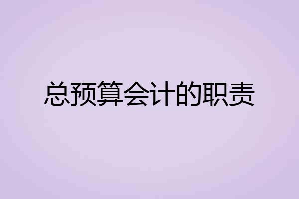 总预算会计的职责