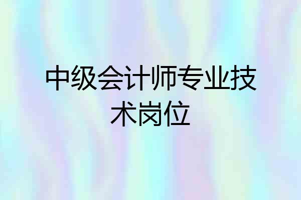 中级会计师专业技术岗位