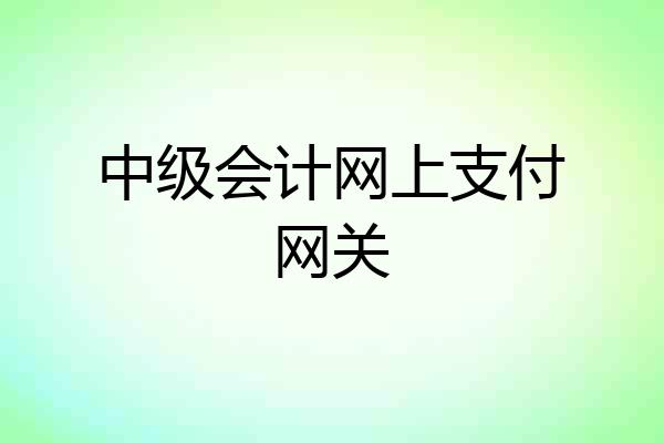 中级会计网上支付网关