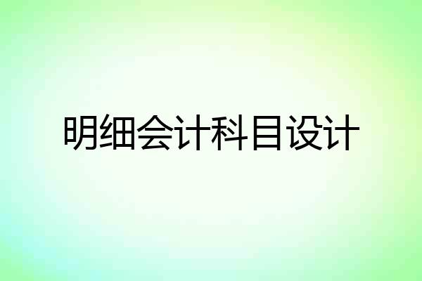 明细会计科目设计