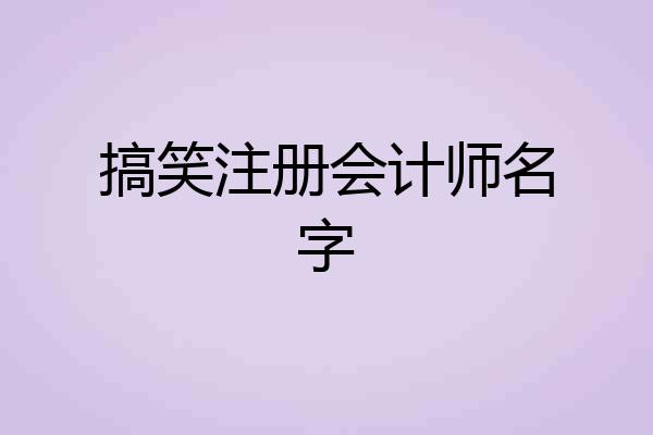 搞笑注册会计师名字
