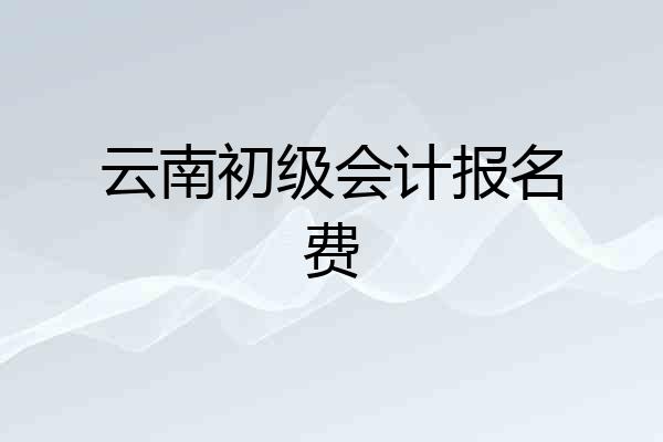 云南初级会计报名费