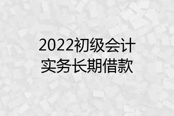 2022初级会计实务长期借款
