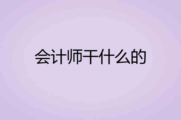 会计师干什么的