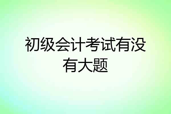 初级会计考试有没有大题