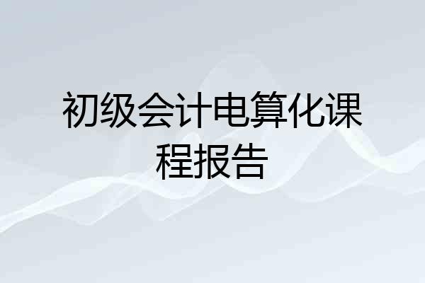 初级会计电算化课程报告