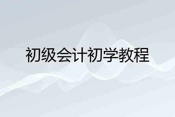 初级会计初学教程