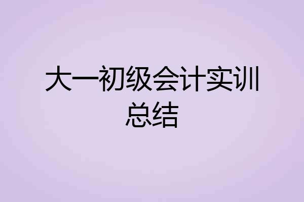 大一初级会计实训总结