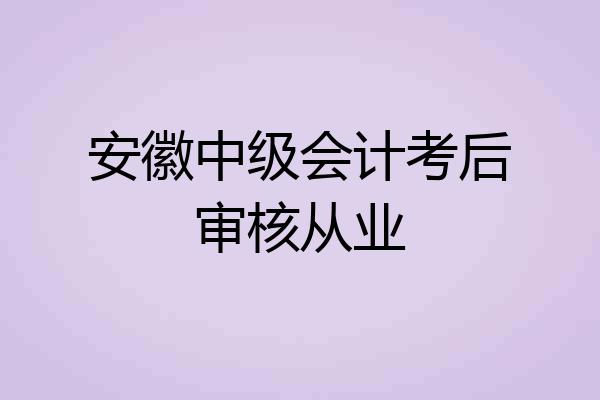 安徽中级会计考后审核从业