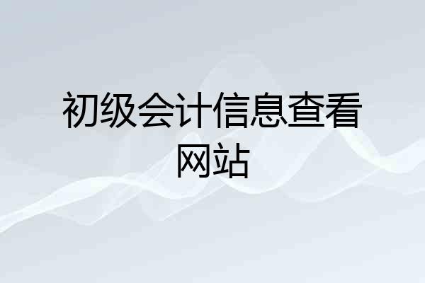 初级会计信息查看网站