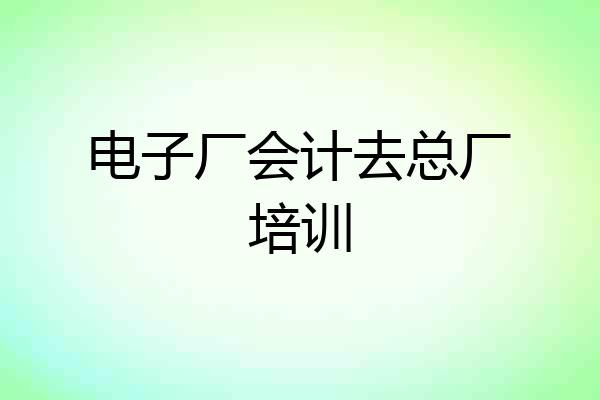 电子厂会计去总厂培训
