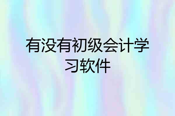 有没有初级会计学习软件