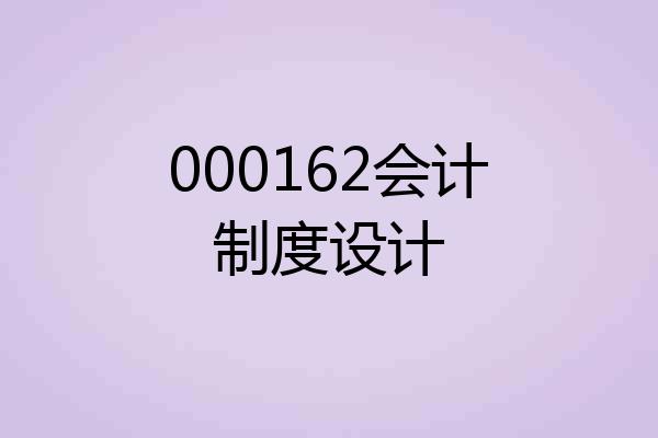 000162会计制度设计