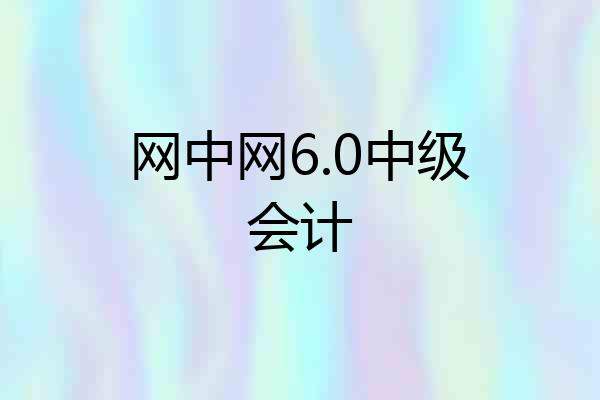 网中网6.0中级会计