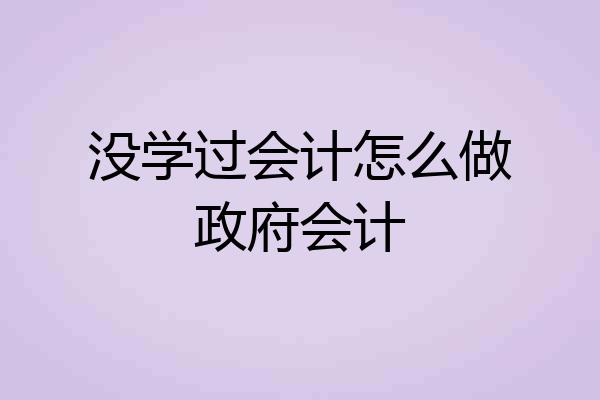 没学过会计怎么做政府会计