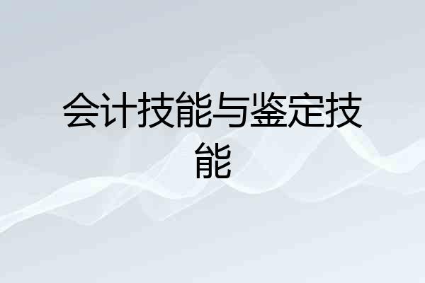 会计技能与鉴定技能