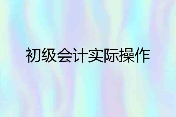 初级会计实际操作