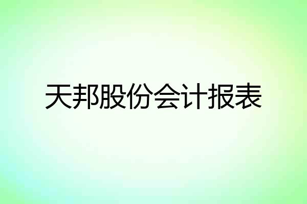 天邦股份会计报表