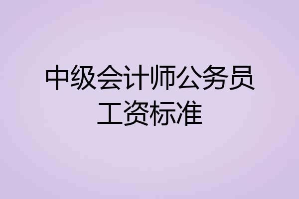 中级会计师公务员工资标准