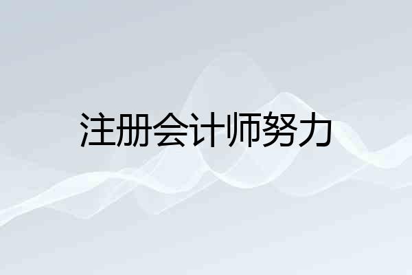 注册会计师努力