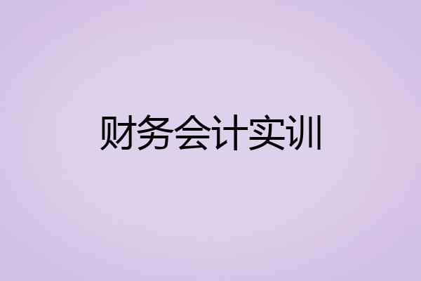 财务会计实训