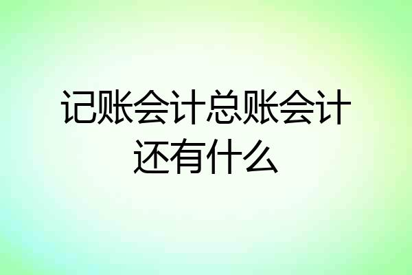 记账会计总账会计还有什么