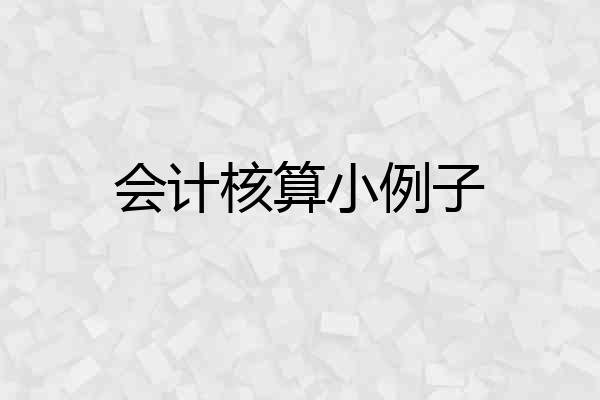 会计核算小例子
