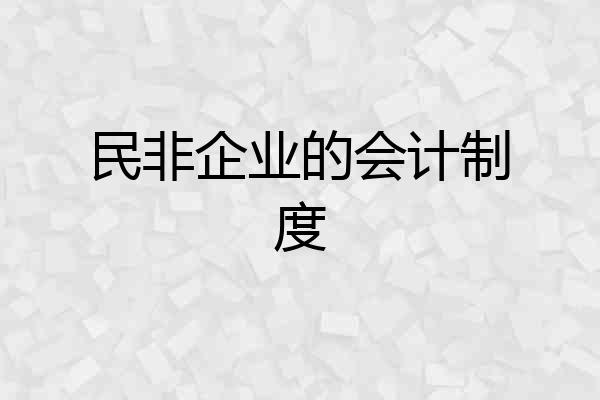 民非企业的会计制度