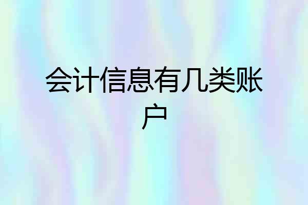 会计信息有几类账户