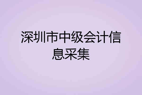 深圳市中级会计信息采集