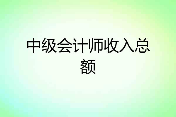 中级会计师收入总额