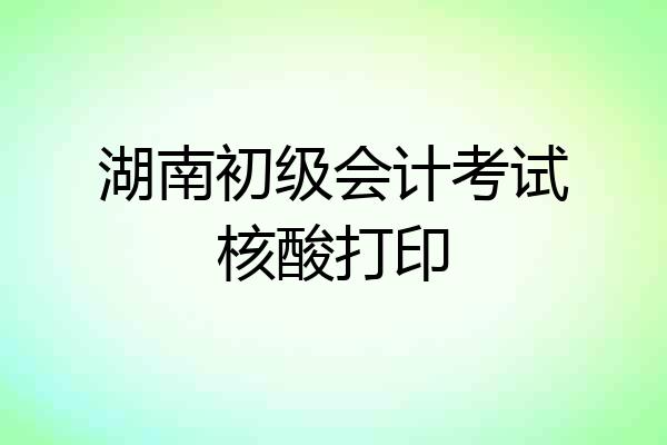 湖南初级会计考试核酸打印