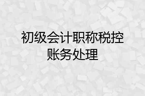 初级会计职称税控账务处理