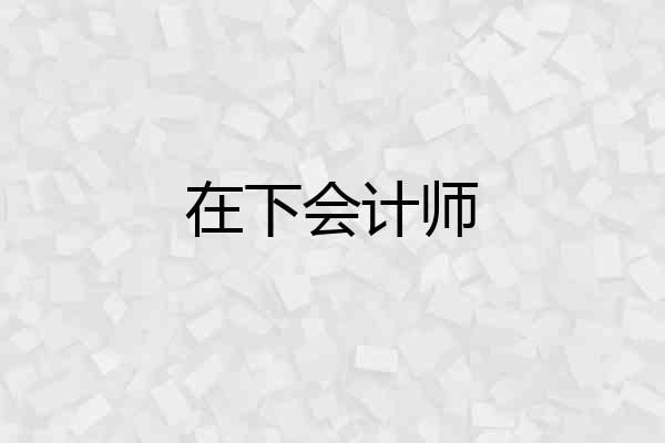 在下会计师
