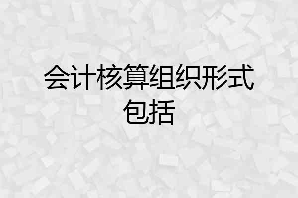 会计核算组织形式包括