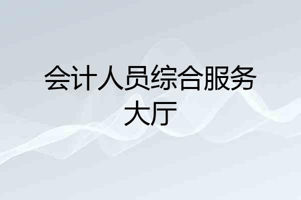 会计人员综合服务大厅