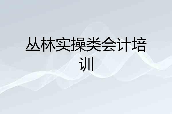 丛林实操类会计培训