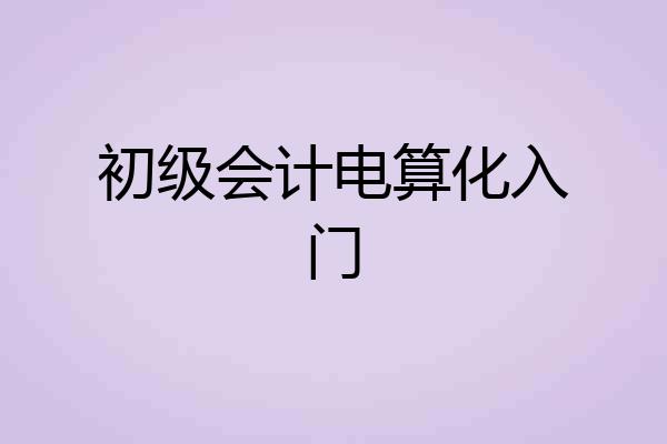 初级会计电算化入门