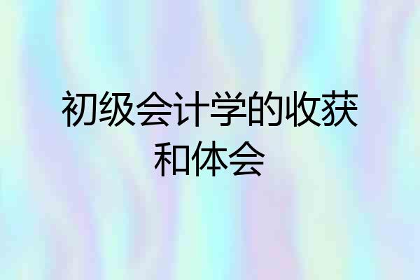 初级会计学的收获和体会