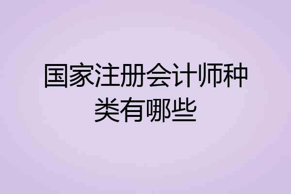 国家注册会计师种类有哪些