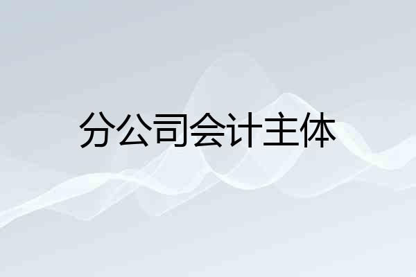 分公司会计主体