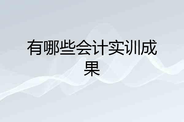 有哪些会计实训成果
