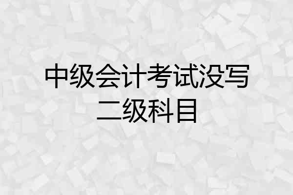 中级会计考试没写二级科目