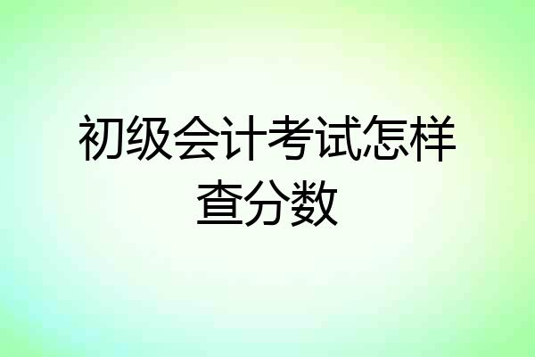初级会计考试怎样查分数