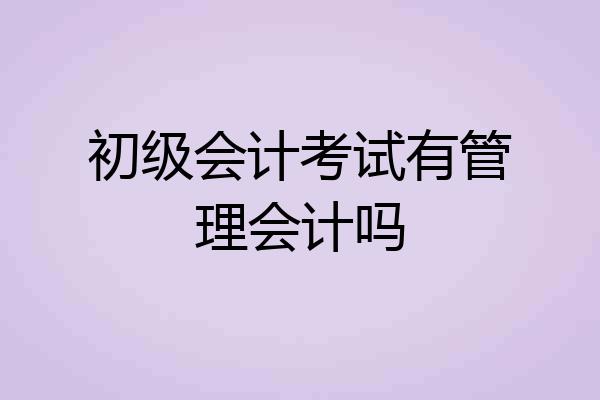 初级会计考试有管理会计吗
