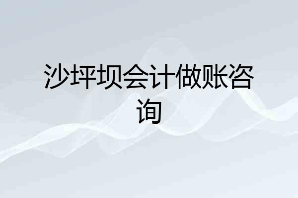 沙坪坝会计做账咨询