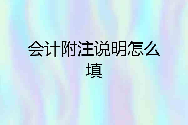 会计附注说明怎么填